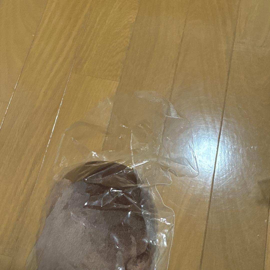 なにわ男子　道枝　グッズ　3点セット