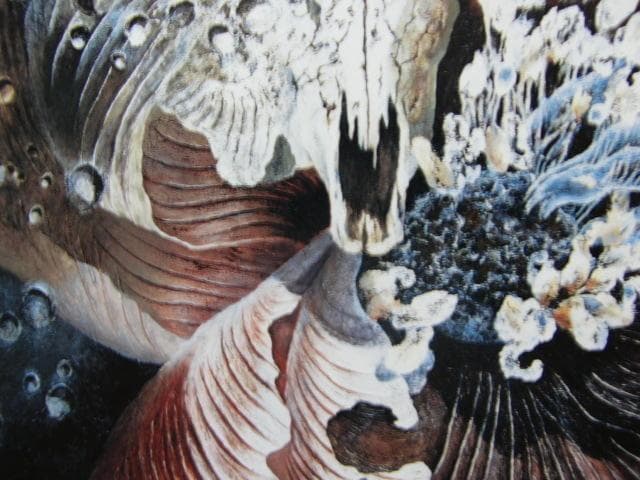 日下部淑子【花のうてな】希少画集画、状態良好、新品高級額装付