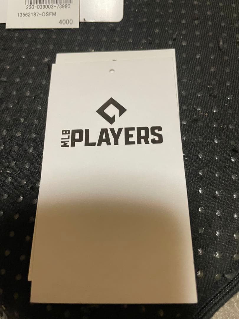 MLB正規品　ドジャース 2024 大谷翔平ネーム&ナンバー NIKEロイヤル