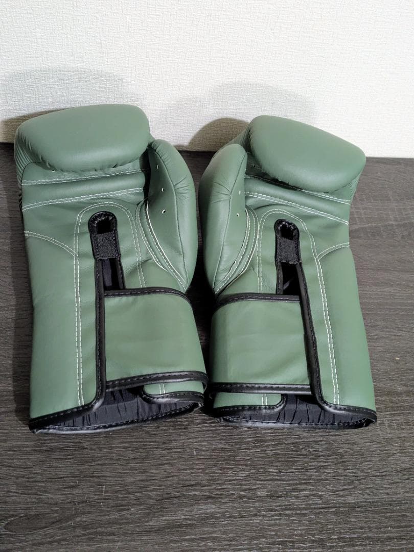 Fairtex ムエタイ ボクシンググローブ BGV1 14oz グリーン 美品