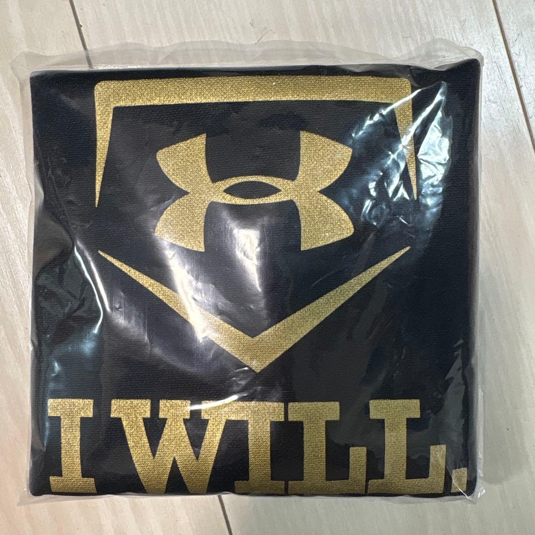 Under Armour 黒 野球グローブ※左利き※