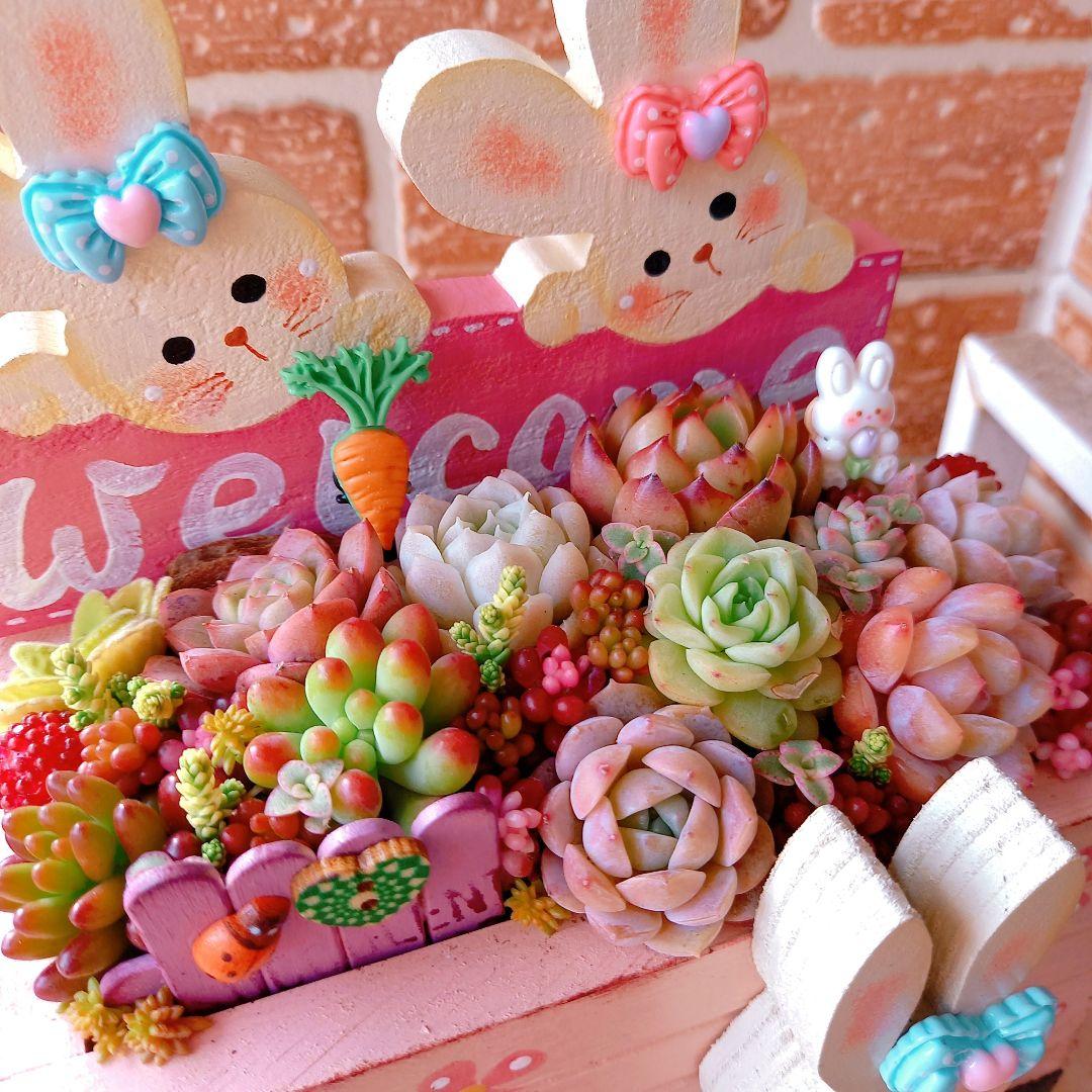 ♥専用❤️多肉植物♥そのまま飾れる寄せ植え♥うさぎちゃん汽車♥