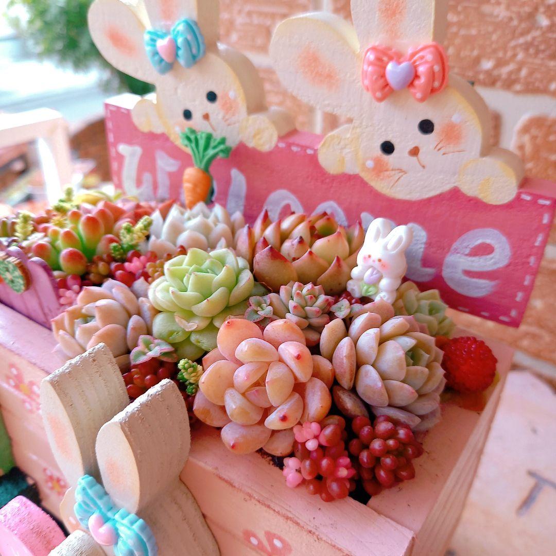 ♥専用❤️多肉植物♥そのまま飾れる寄せ植え♥うさぎちゃん汽車♥