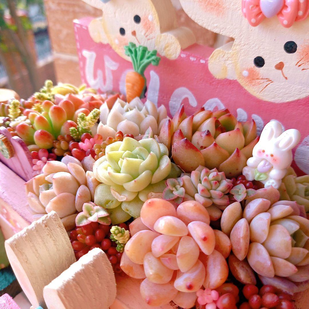 ♥専用❤️多肉植物♥そのまま飾れる寄せ植え♥うさぎちゃん汽車♥