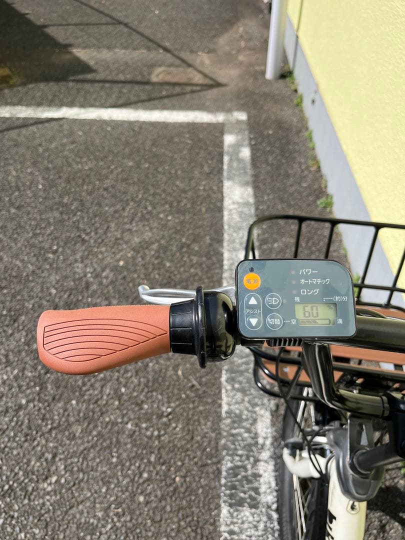 ブリヂストン ビッケポーラーe カスタム【近隣無料配送・たのメル便対応】