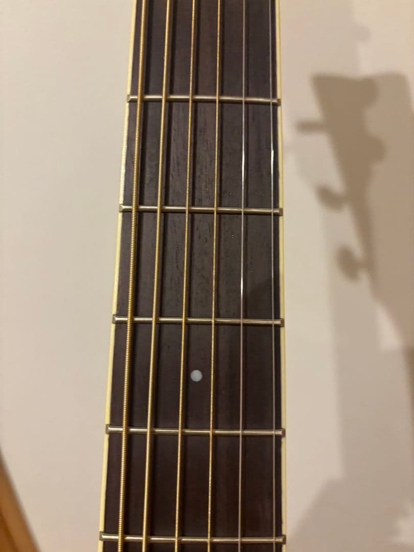 ギター yamaha fg830