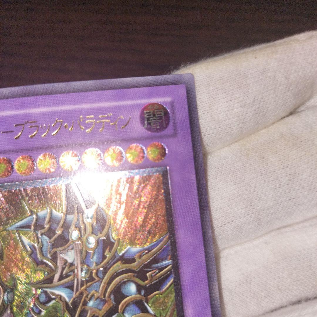 遊戯王 ブラック・パラディン レリーフ
