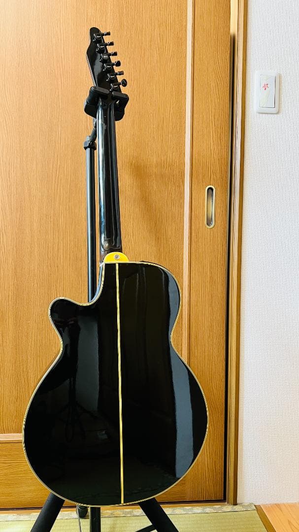 Takamine PT-108-6 エレアコ 実用品 長渕ヘッド！ハードケース有