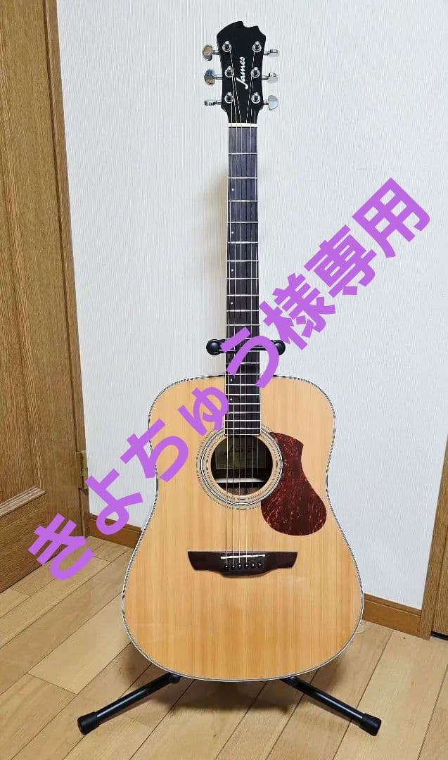 James J-450D/Ova NAT アコースティックギター