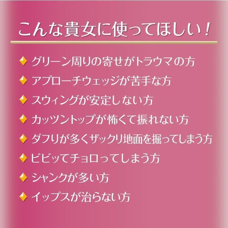 レディース★新品 ダイナミクス ツアーチッパー 33インチ 簡単スコアアップ