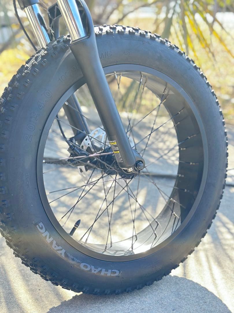 【美品】MATE X 250W eバイク 電動自転車 Subdued Black