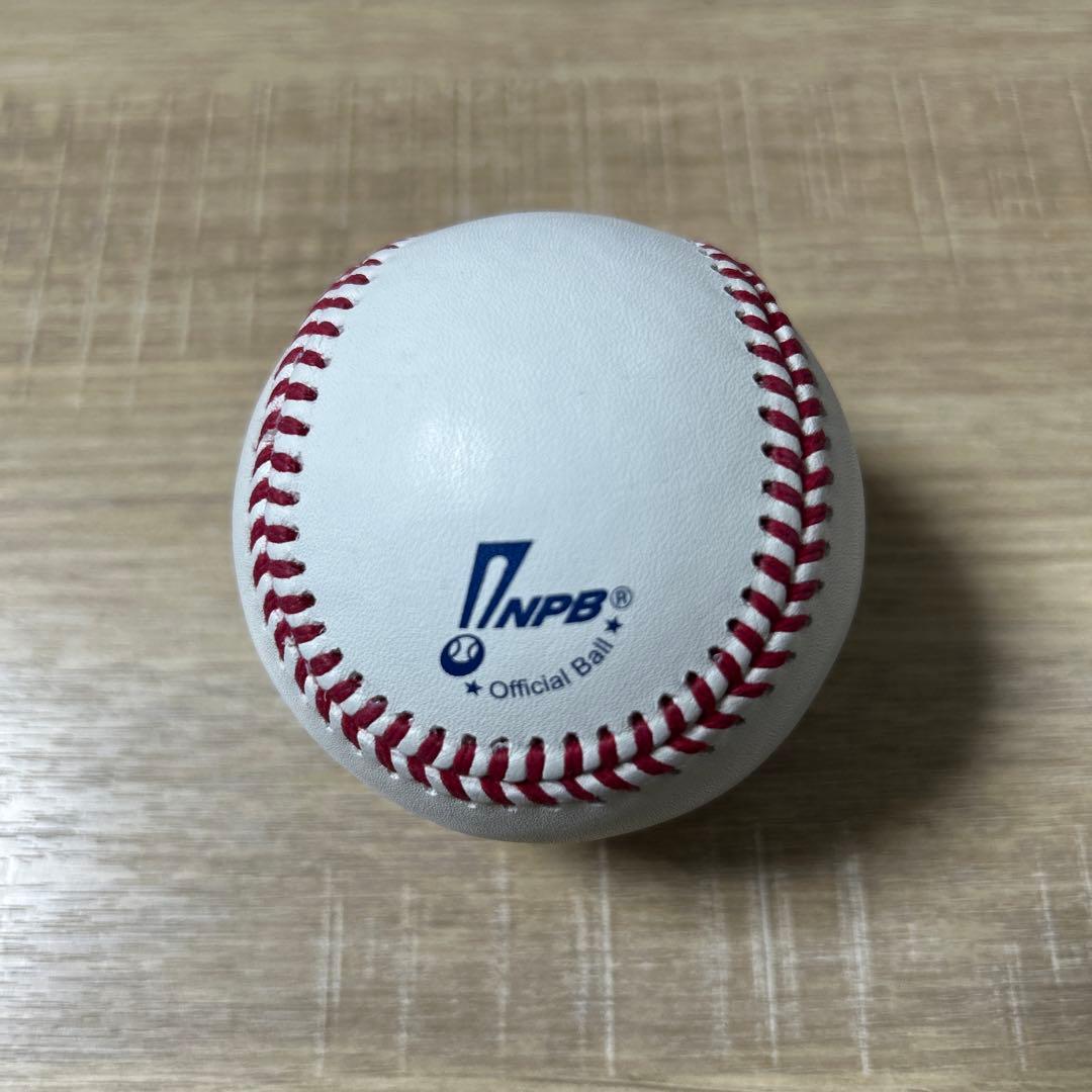 オリックス・バファローズ　藤川敦也　直筆サインボール　統一球　NPB球