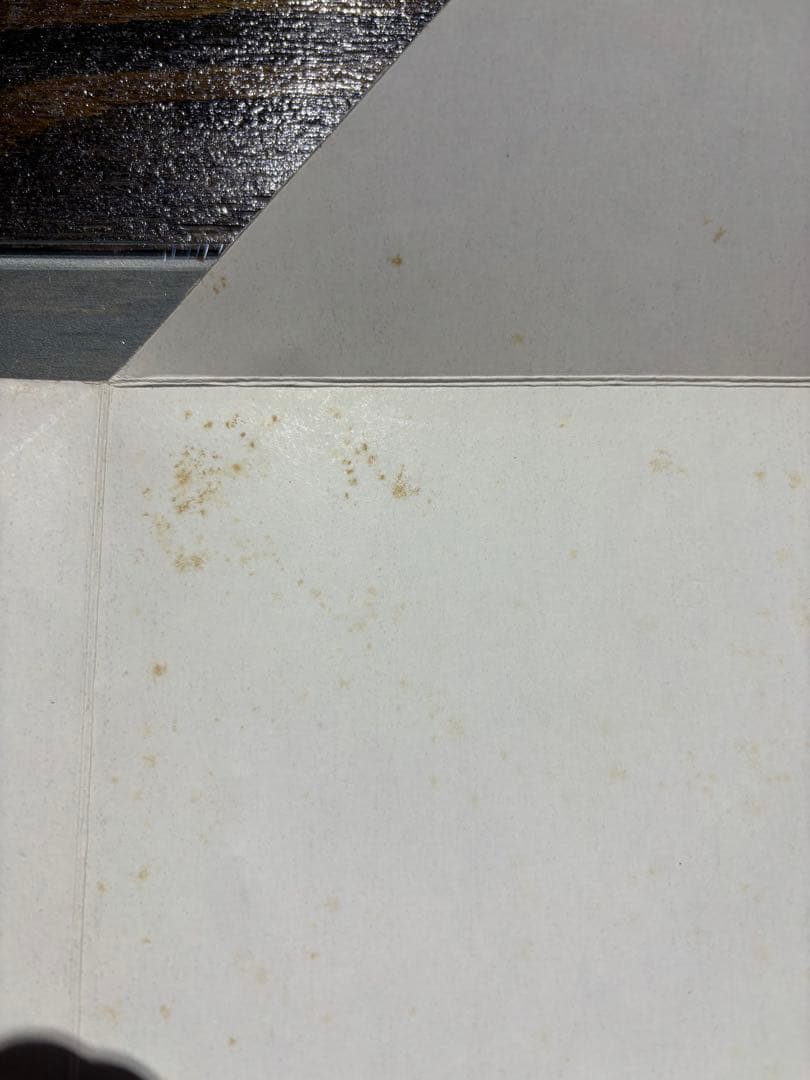 芹沢銈介　1981年　カレンダー　表紙と１2ヶ月分揃い