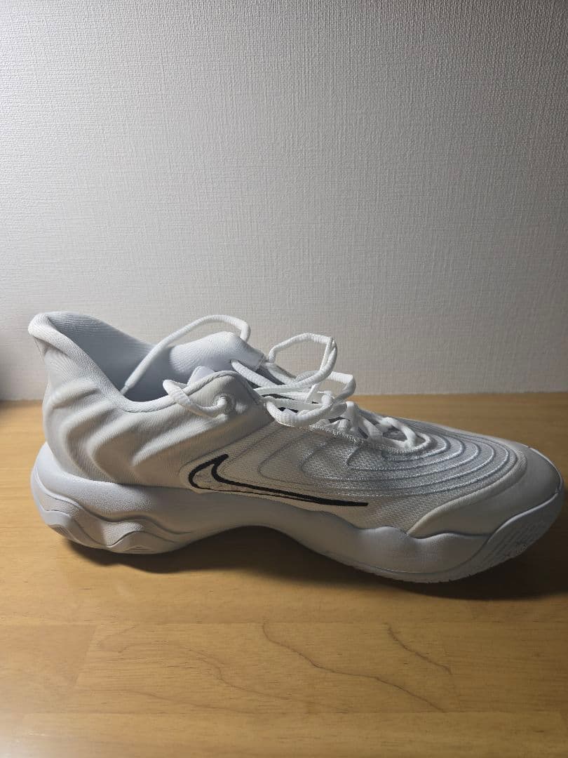 ナイキ ヤニス バスケットボールシューズ 27.5cm
