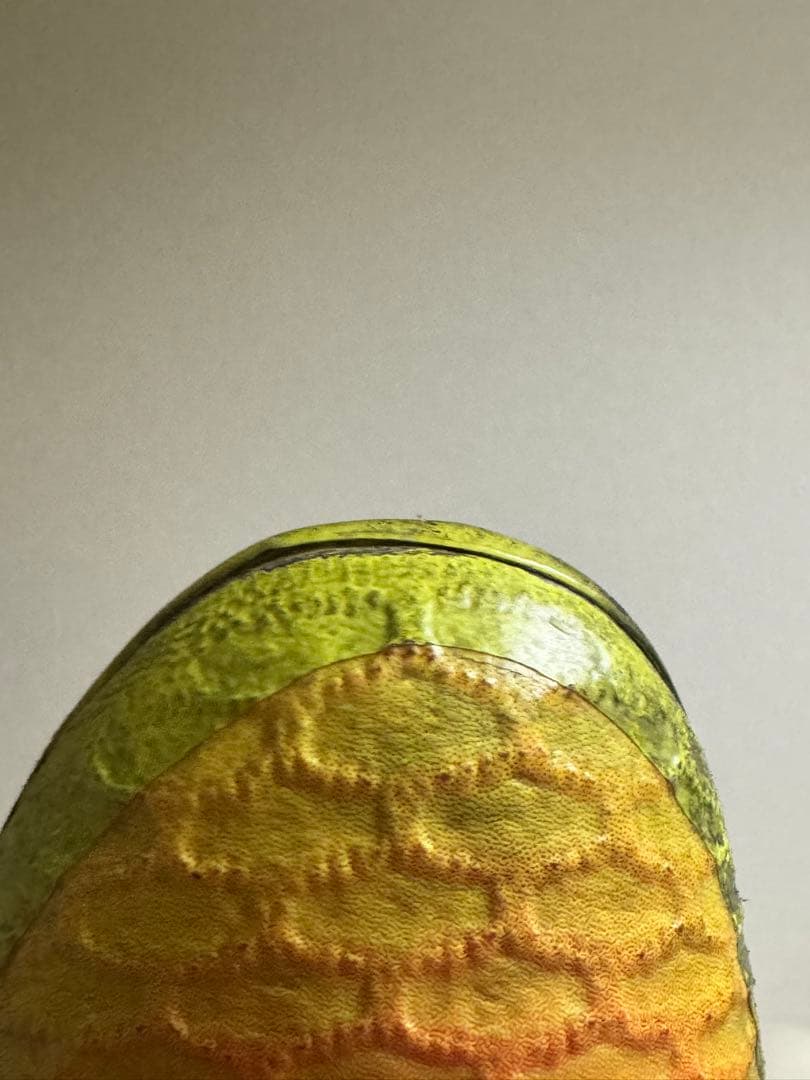 マジスタ オブラ 27cm