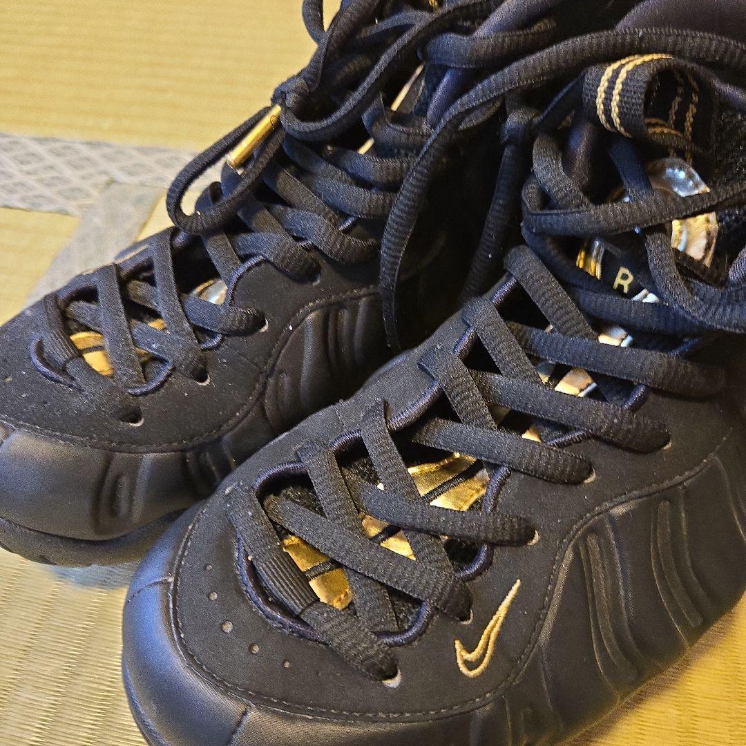 ナイキ ズームフォームポジット 27cm used black
