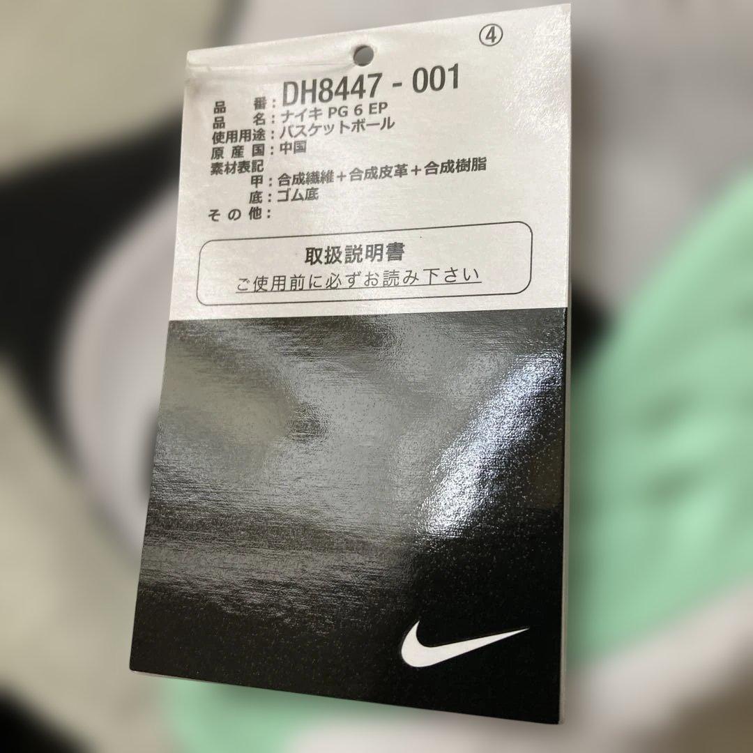 NIKE 'BLACK MINT'PG6 DH8447-001 メンズスニーカー
