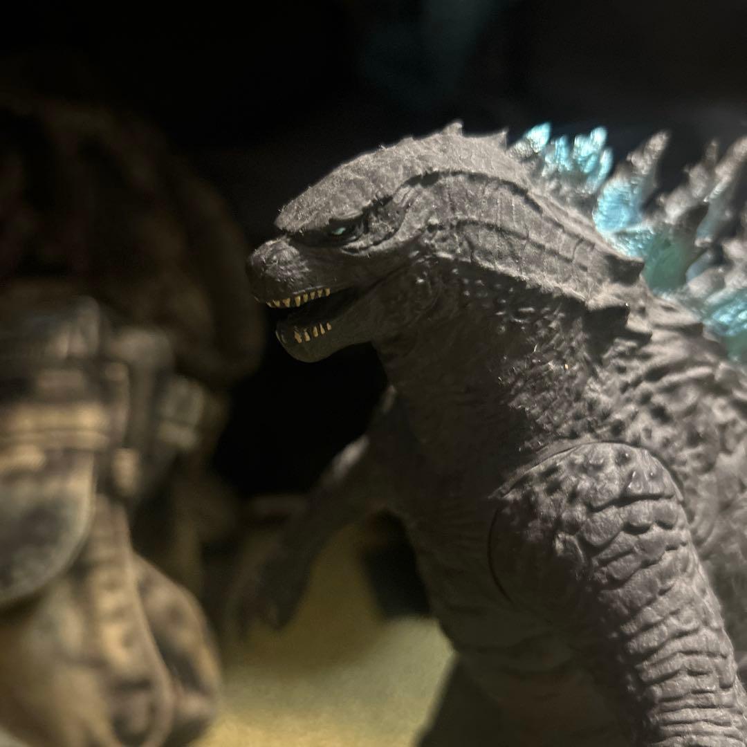 ゴジラ2019 怪獣王シリーズ　フィギュア