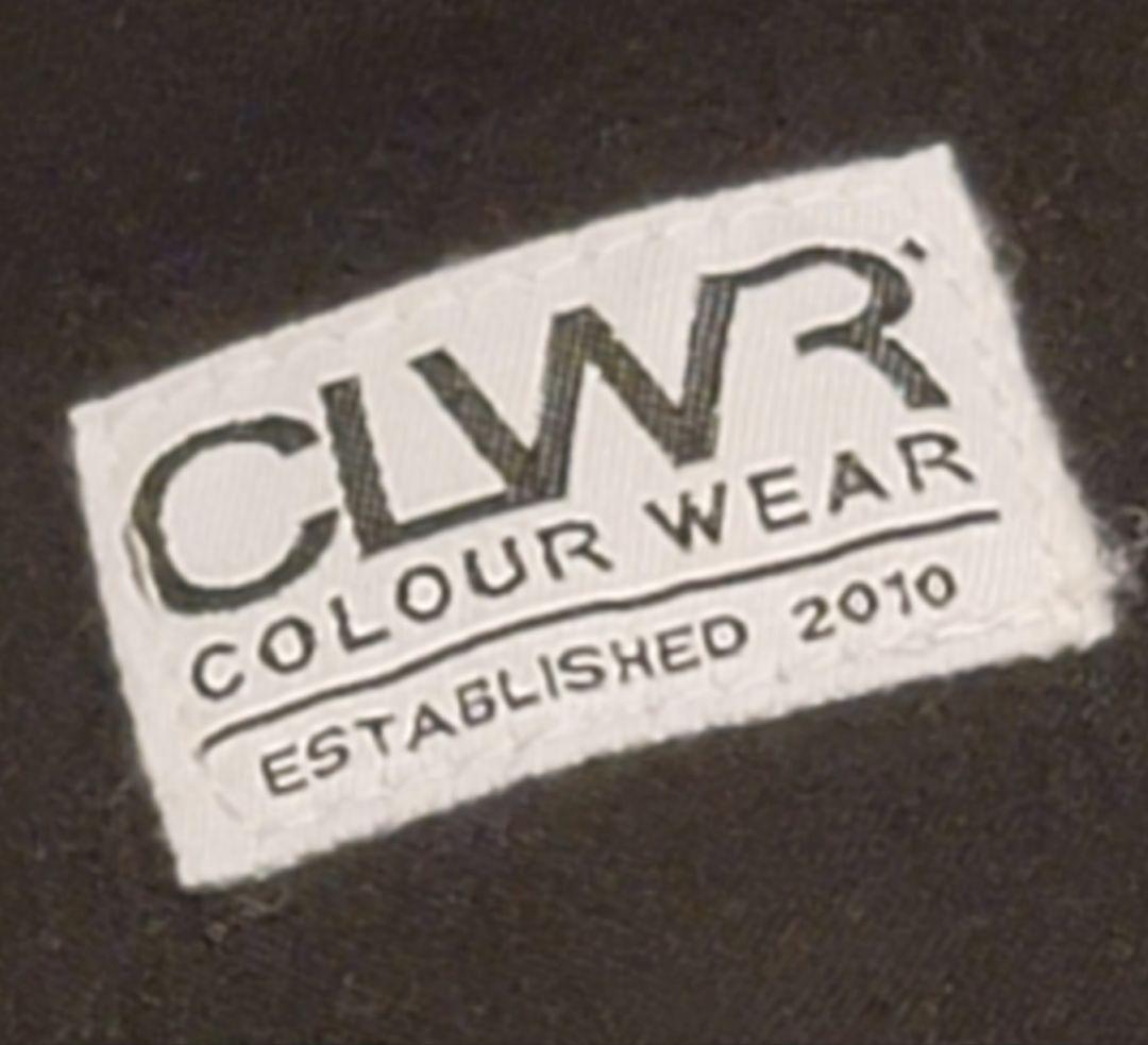 【美品】CLWR ボードウェア ジャケM パンツL 春