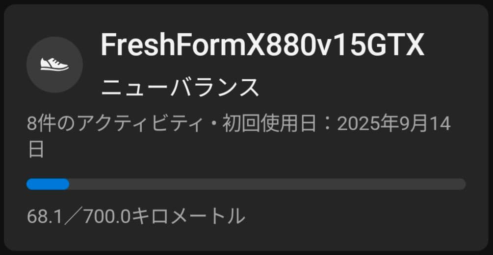 ニューバランス フレッシュフォームX880 v15 ゴアテックス 26.5cm