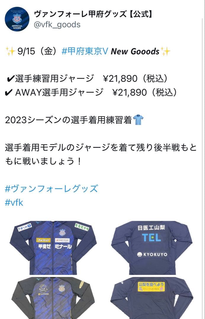 ヴァンフォーレ甲府　練習着　ジャージ　ミズノ