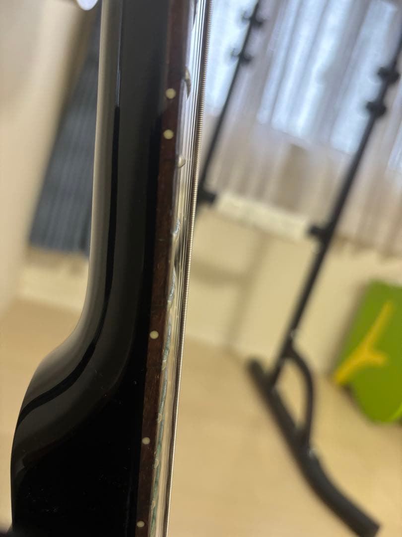 PRS SE EG 改造品