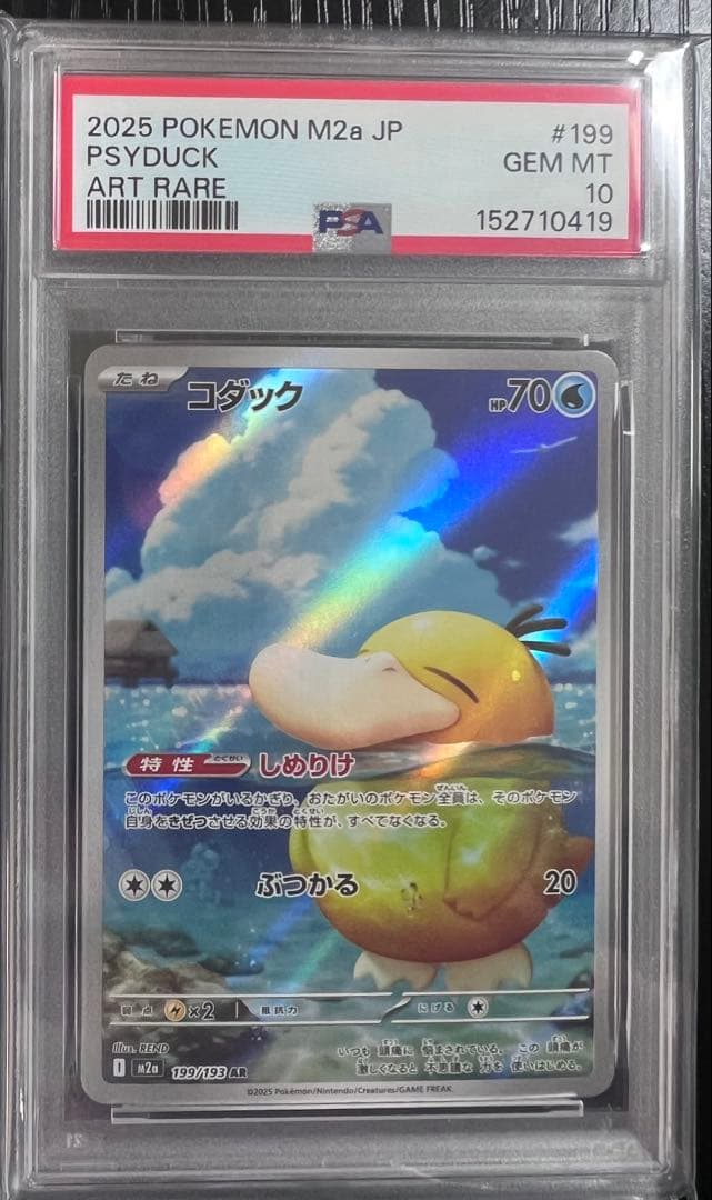 メガドリーム コダックAR PSA10
