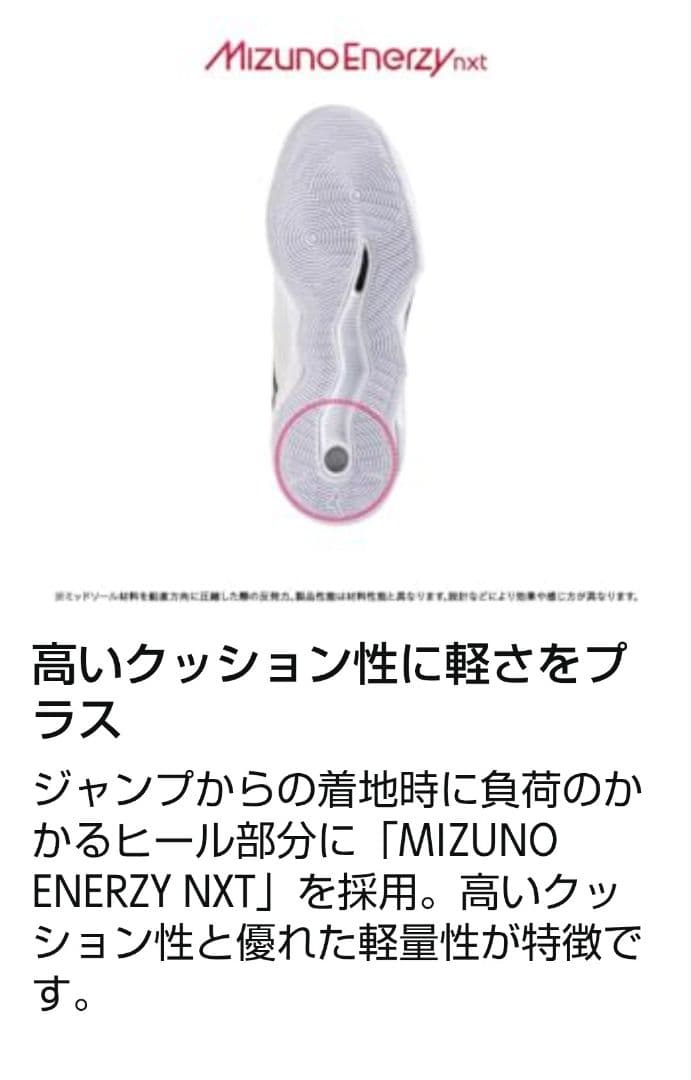 24.0cm ミズノ ウエーブモーメンタム プロ バレーボール 新品未使用