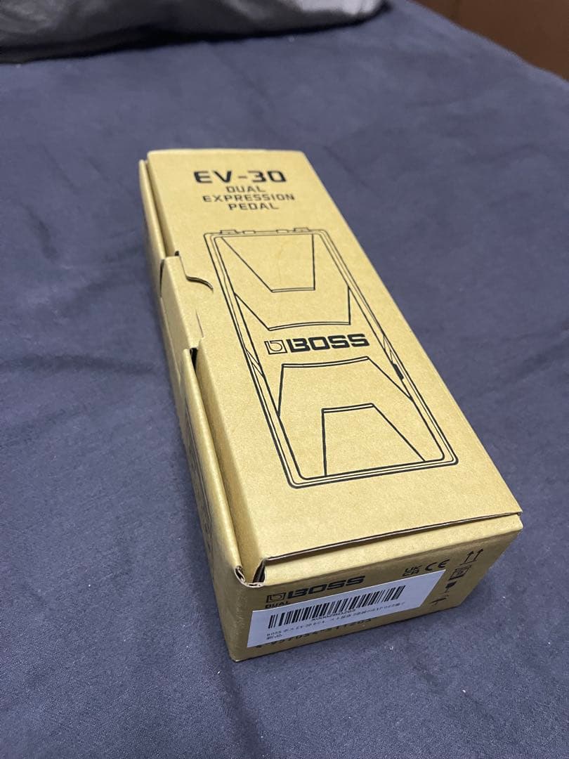 ギター BOSS EV30