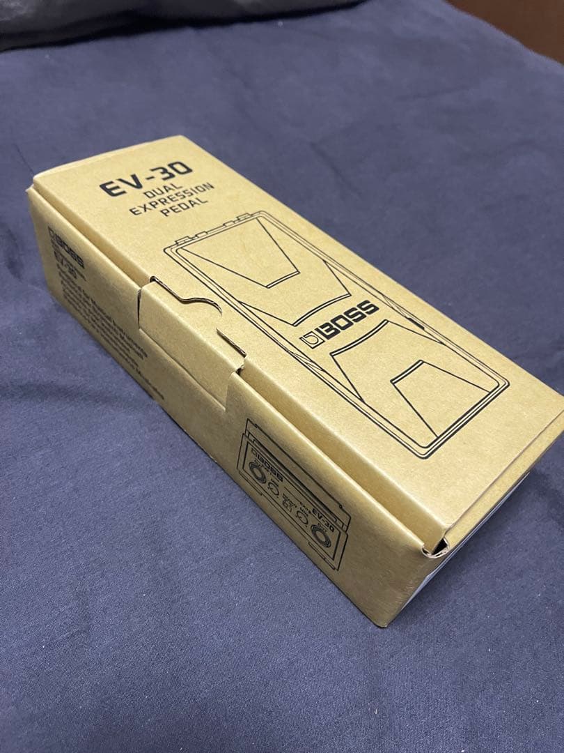 ギター BOSS EV30