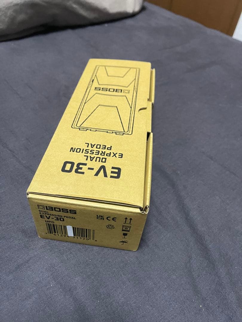 ギター BOSS EV30