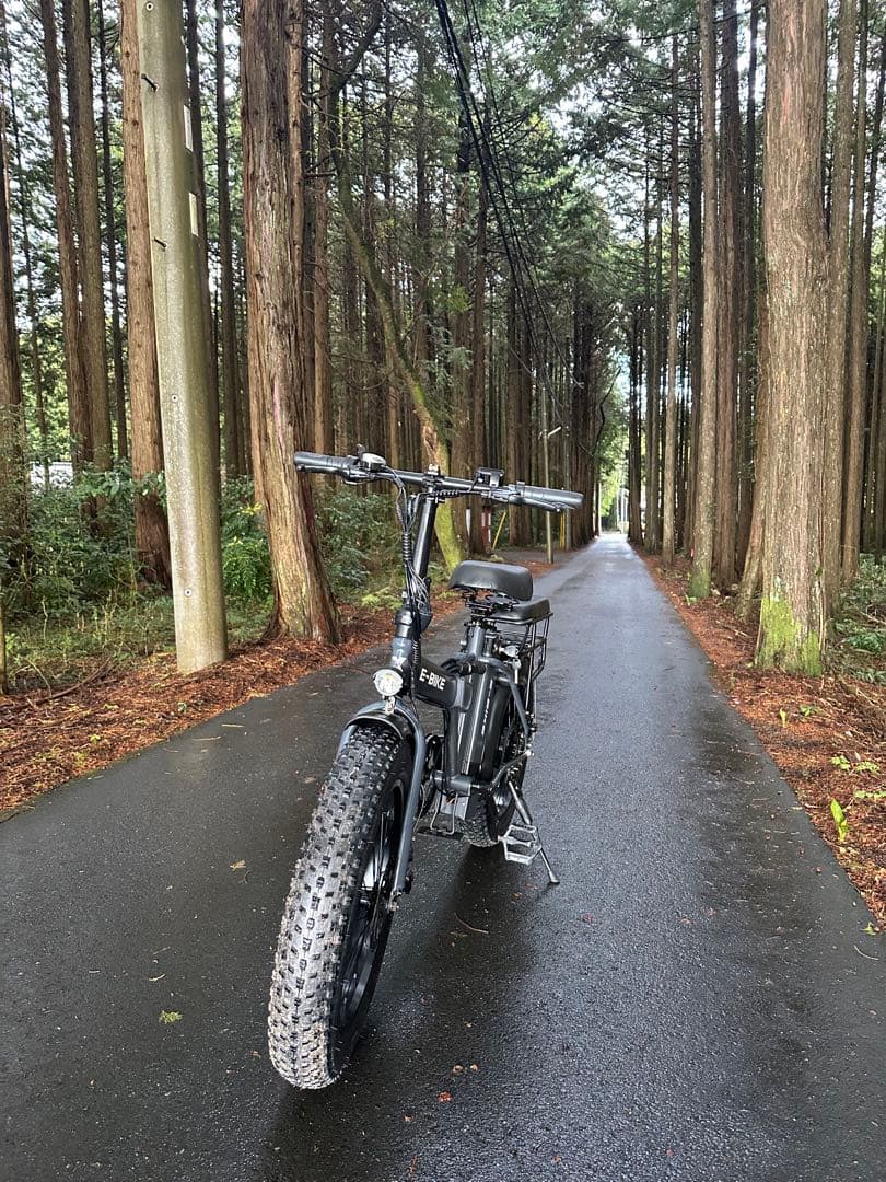 E-Bike 電動アシスト自転車折りたたみ(ジャンク品)