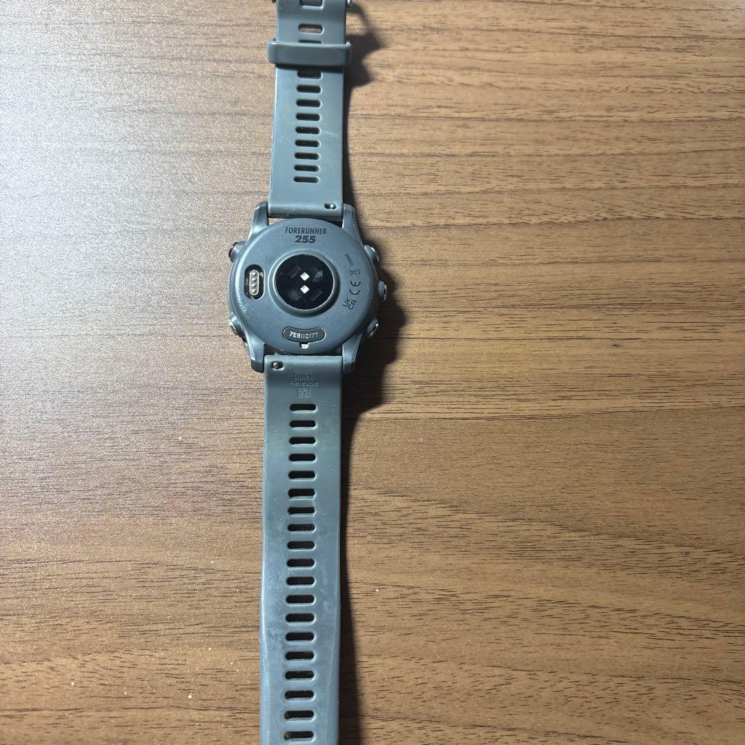 ガーミン255