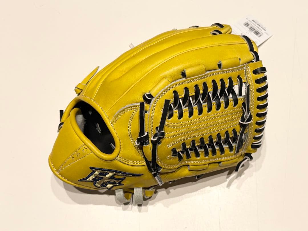 新品ハイゴールド HI-GOLD 【技極】硬式グローブ