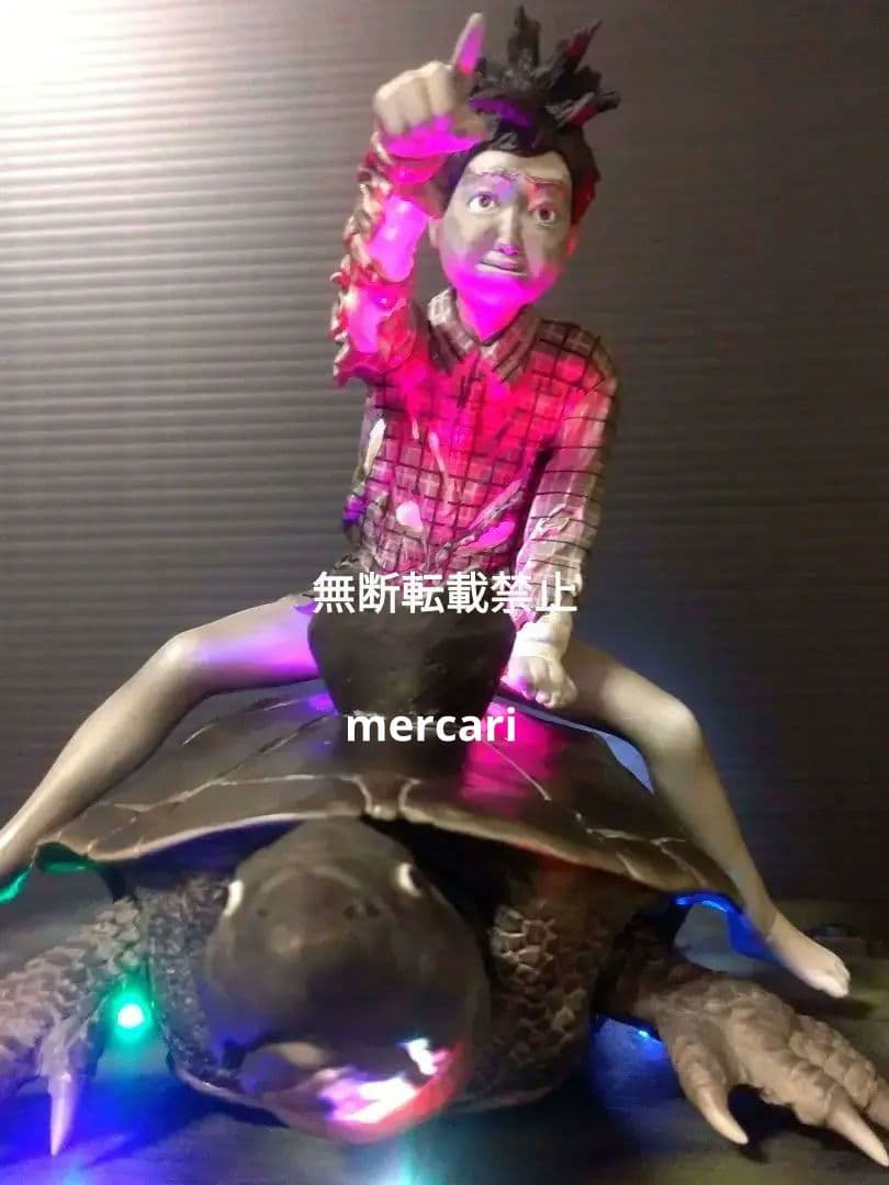 育てよカメ