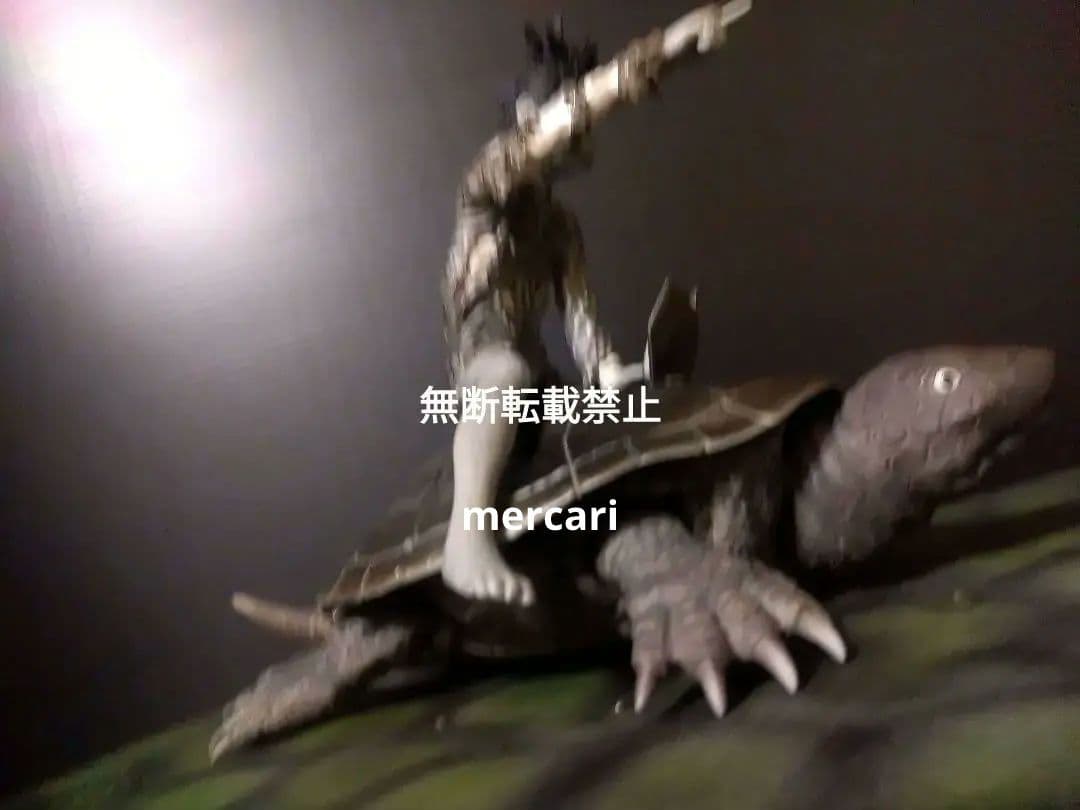 育てよカメ