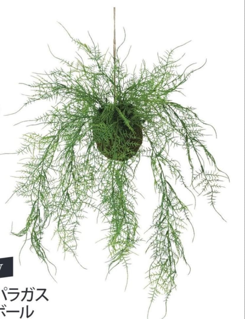 光触媒　人工観葉植物　ウォールグリーン　フェイクグリーン　アスパラガスモスボール