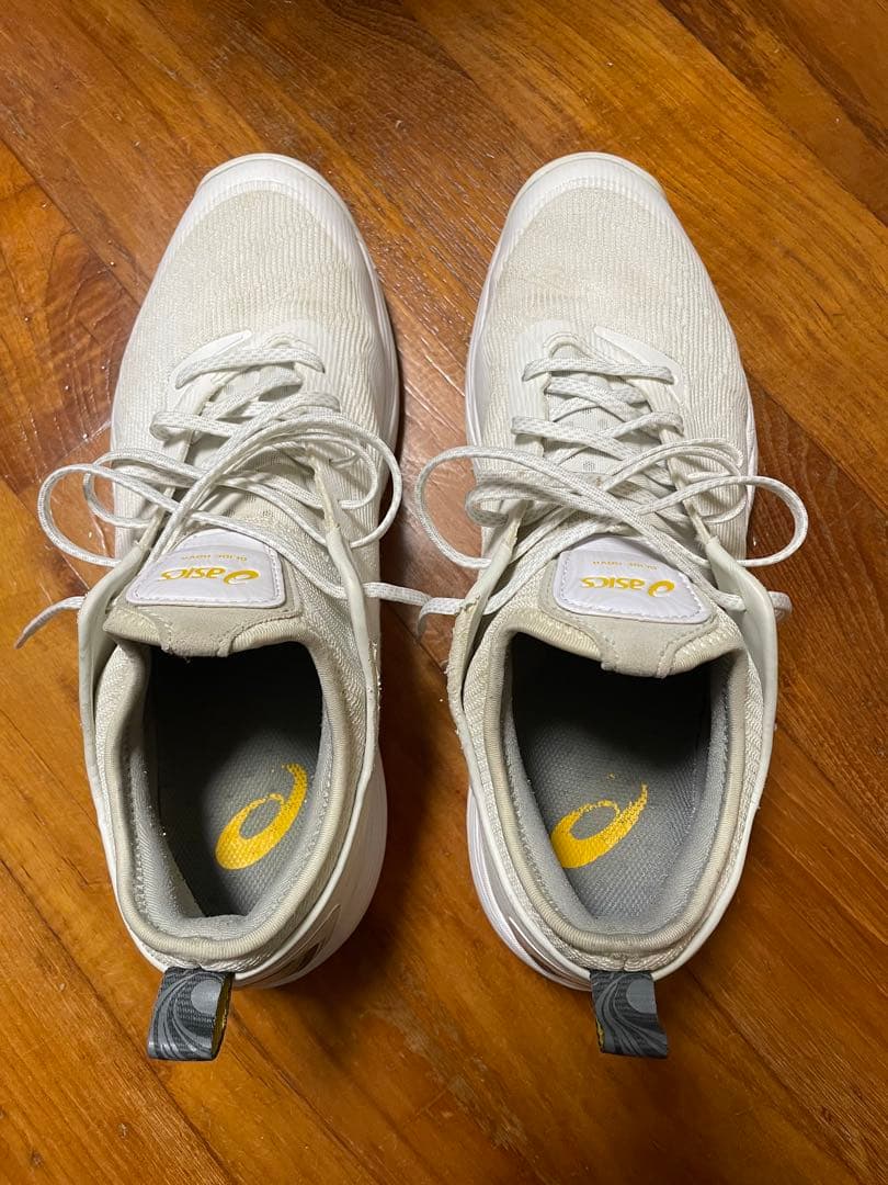 asics アシックス GLIDE NOVA FF2 28.5cm 値下げ中！