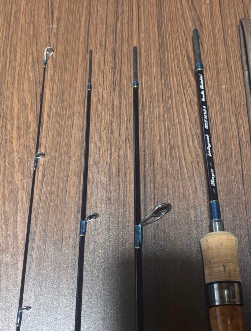 tenryu rayz インテグラルRZI50UL-4