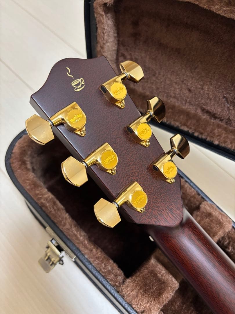 ギター Headway HD-531 Coffee SF.S/STD CLB