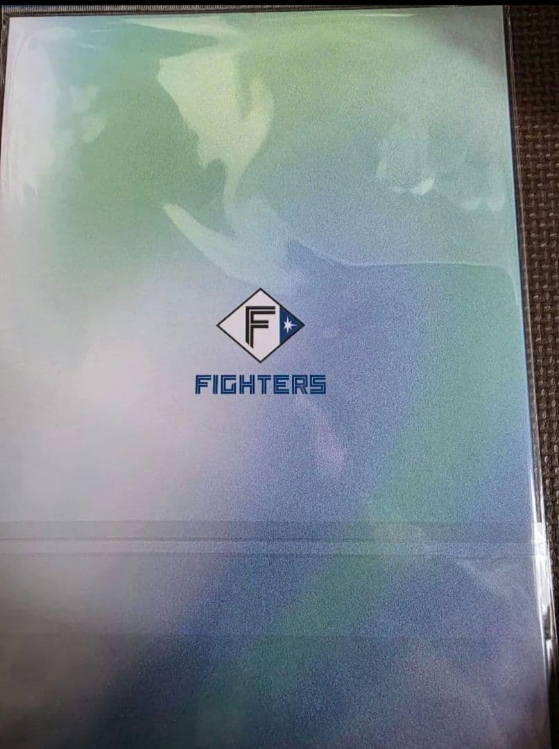 ほ*そ様 FIGHTERS GIRL シーズンフォトブック　受注生産　現在入手不