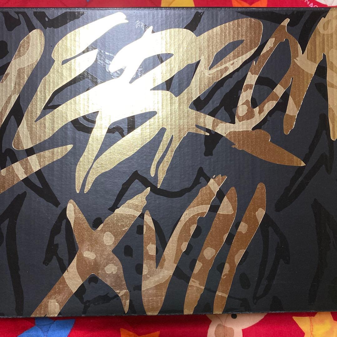 NIKE LeBron 17 ブラック/マルチカラー シューズ