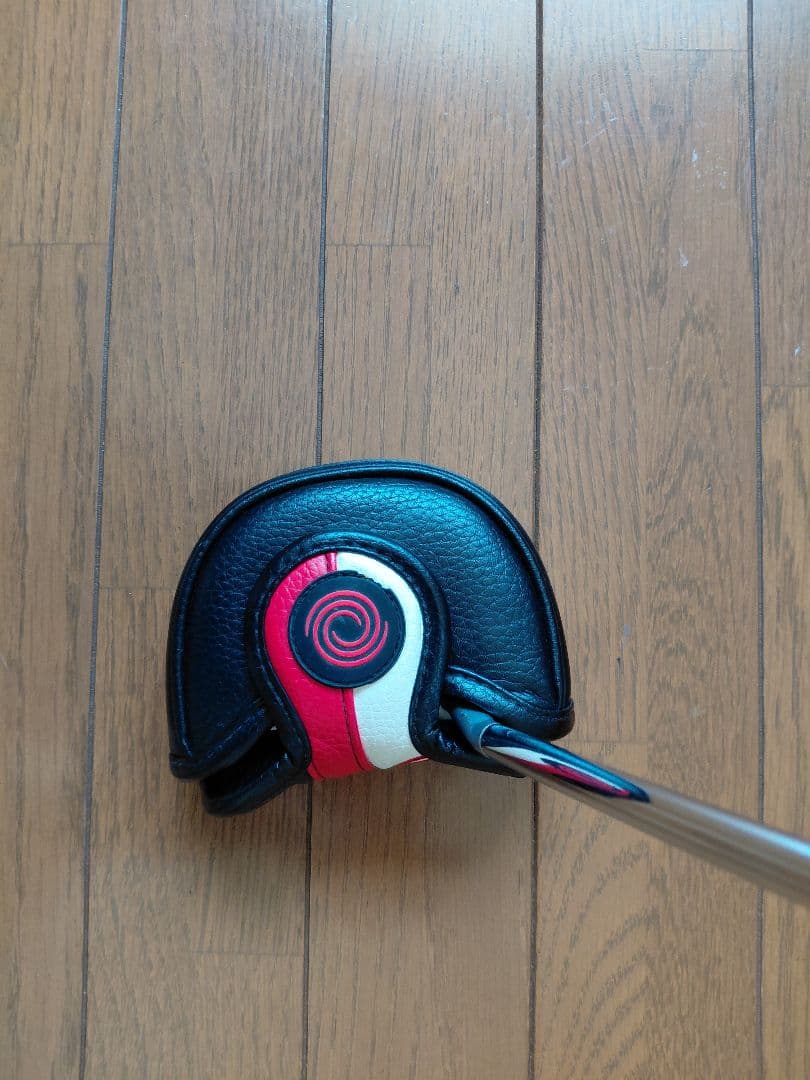 ODYSSEY WHITE HOT ROSSIE 0G 重り10g×2　長さ31