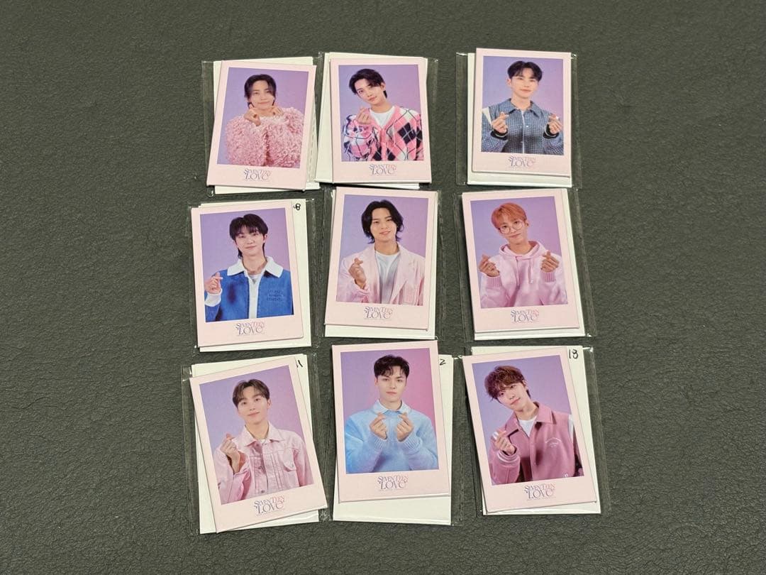 SEVENTEEN LOVE 缶バッジ 9セット