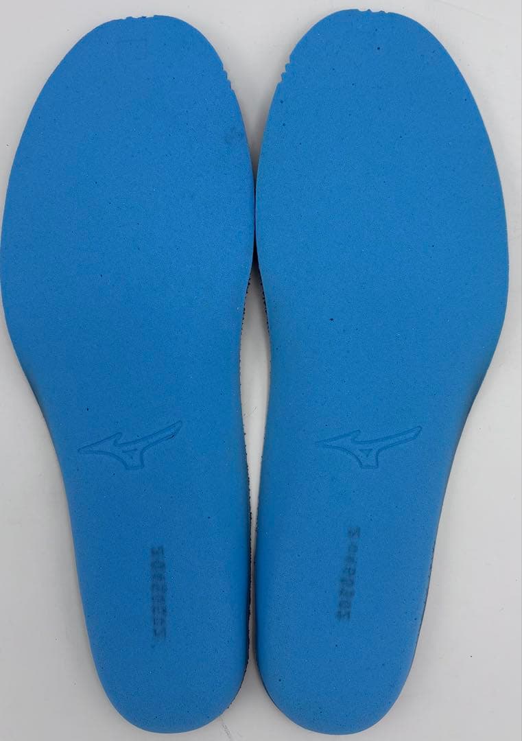 【Used】Mizuno Neo Vista 2 (28cm)