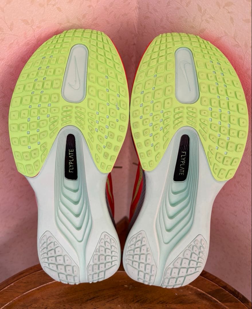 【未使用】NIKE ZOOM FLY6 28cm
