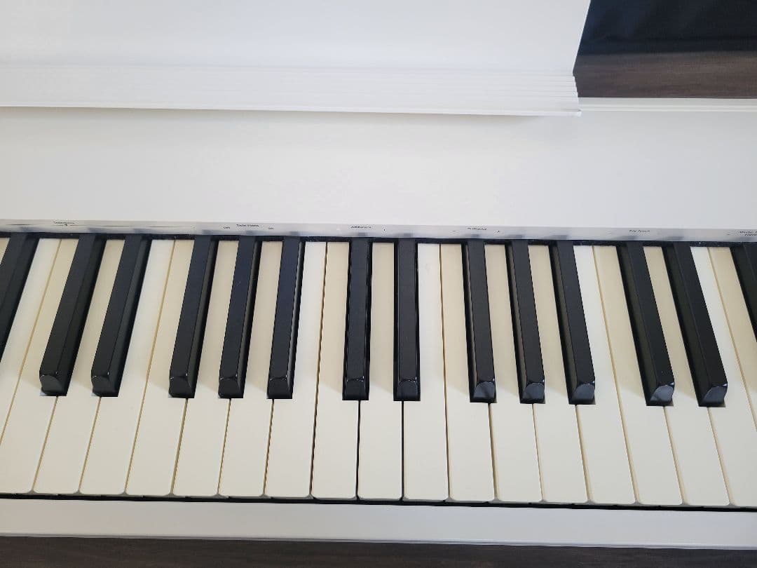Roland 電子ピアノ FP-30X ローランド