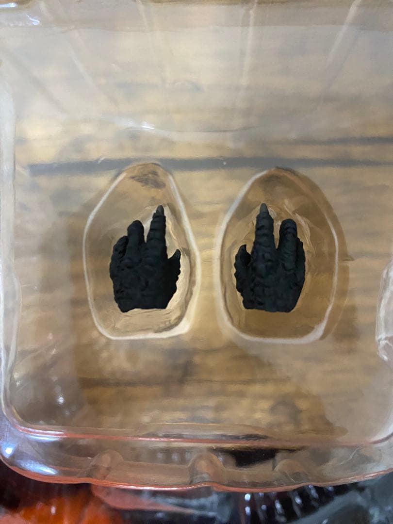特撮 S.H.MonsterArts GODZILLA(2021)