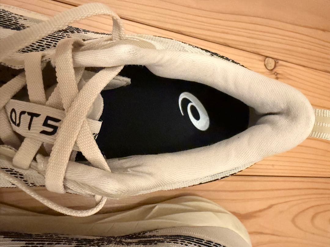 asics NOVABLAST 5［アシックス　ノヴァブラスト5］27.5cm