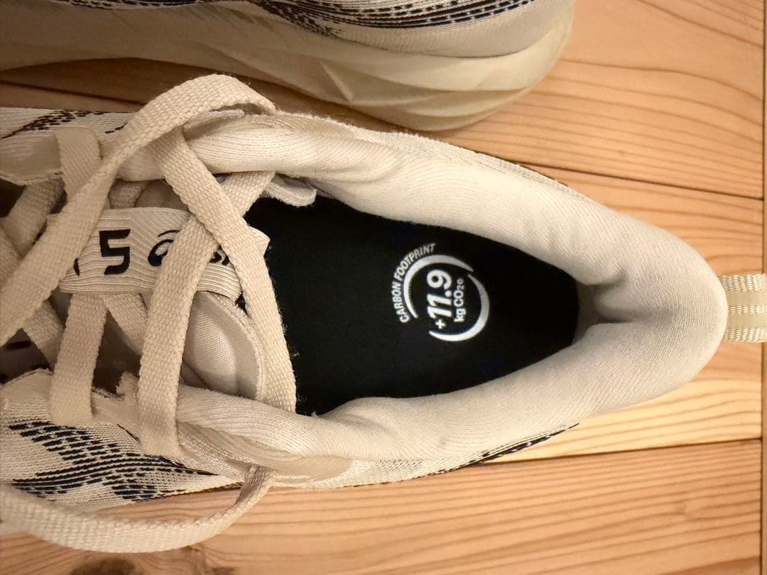 asics NOVABLAST 5［アシックス　ノヴァブラスト5］27.5cm